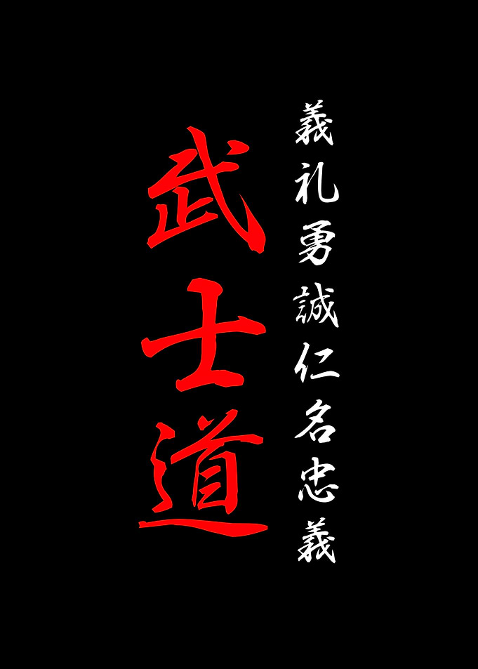 Bushido Code Samurai