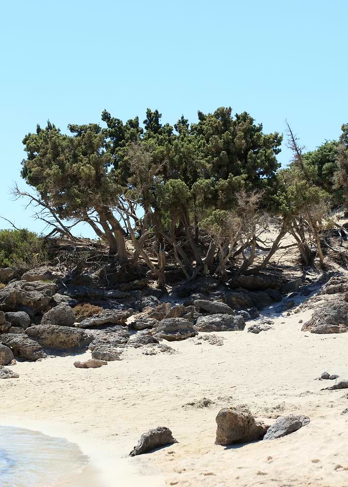 Kedrodasos private beach