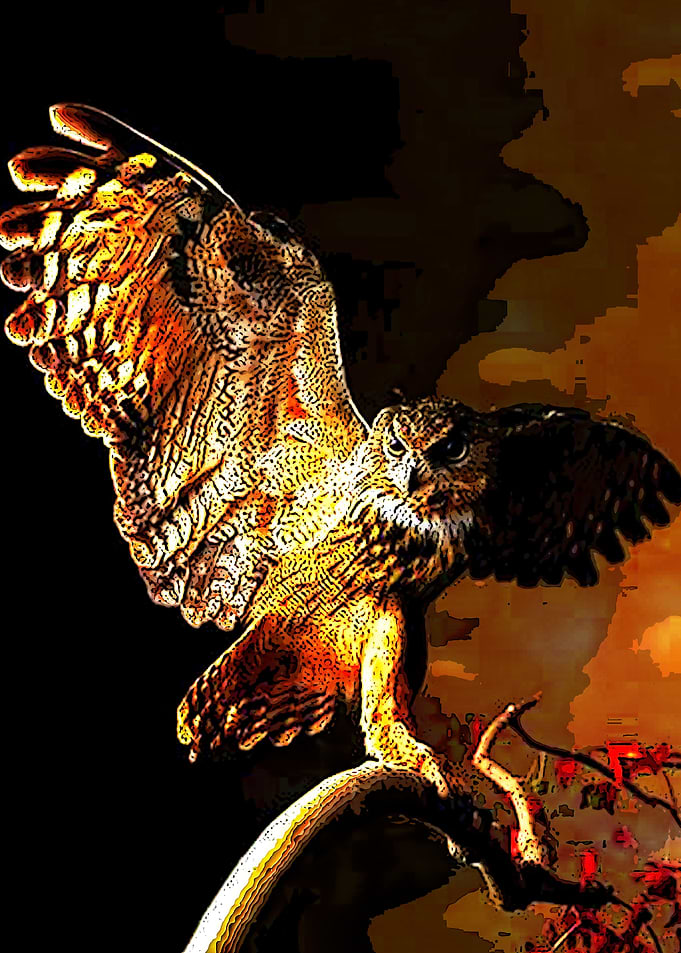 Animal 103