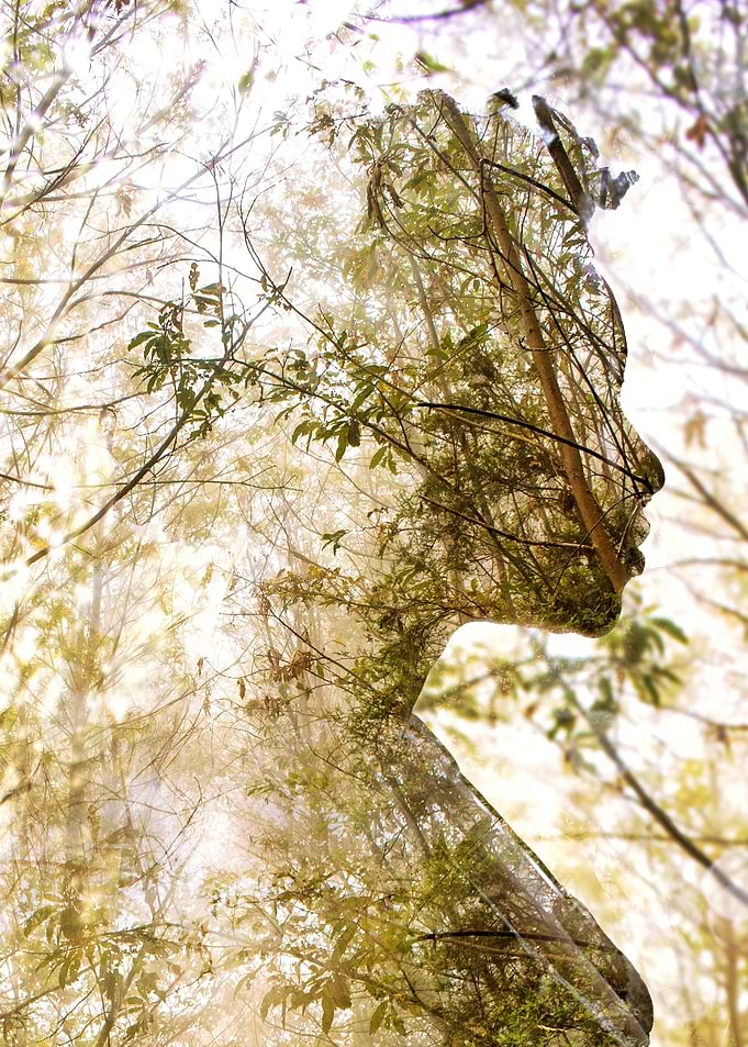 Beautiful Nature