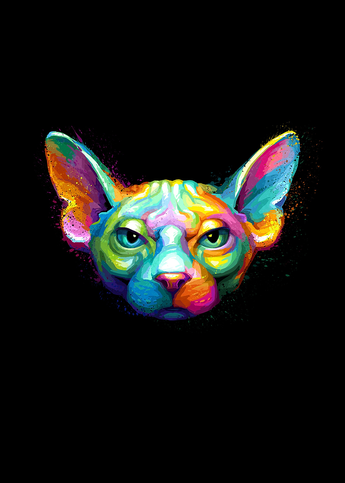 Sphynx Cat