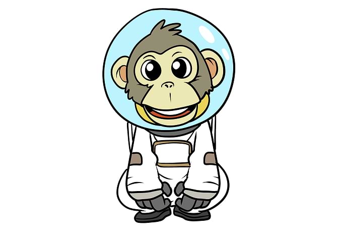 Chip Astronaut