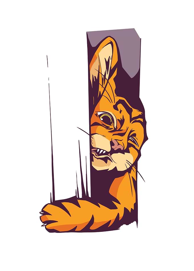 Trapped Cat design