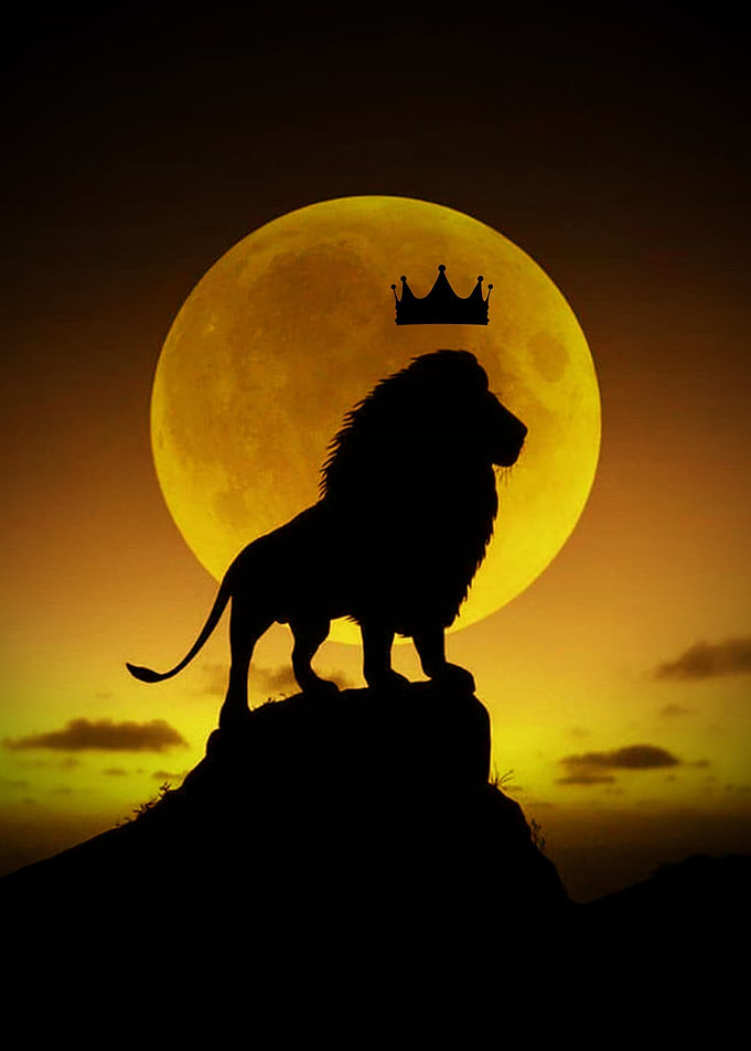 lion