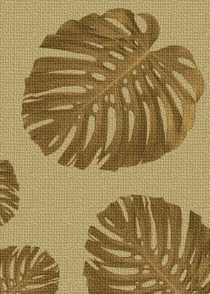 Monstera drid leafed