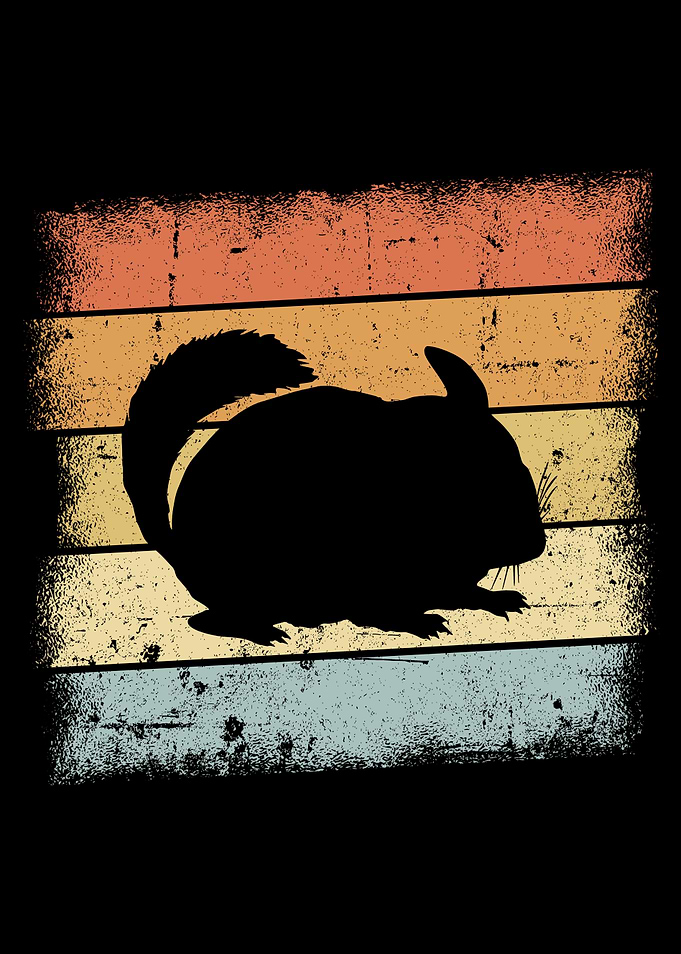 Chinchilla Motif