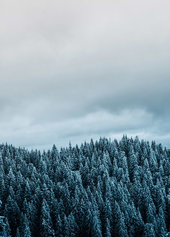 Frozen
