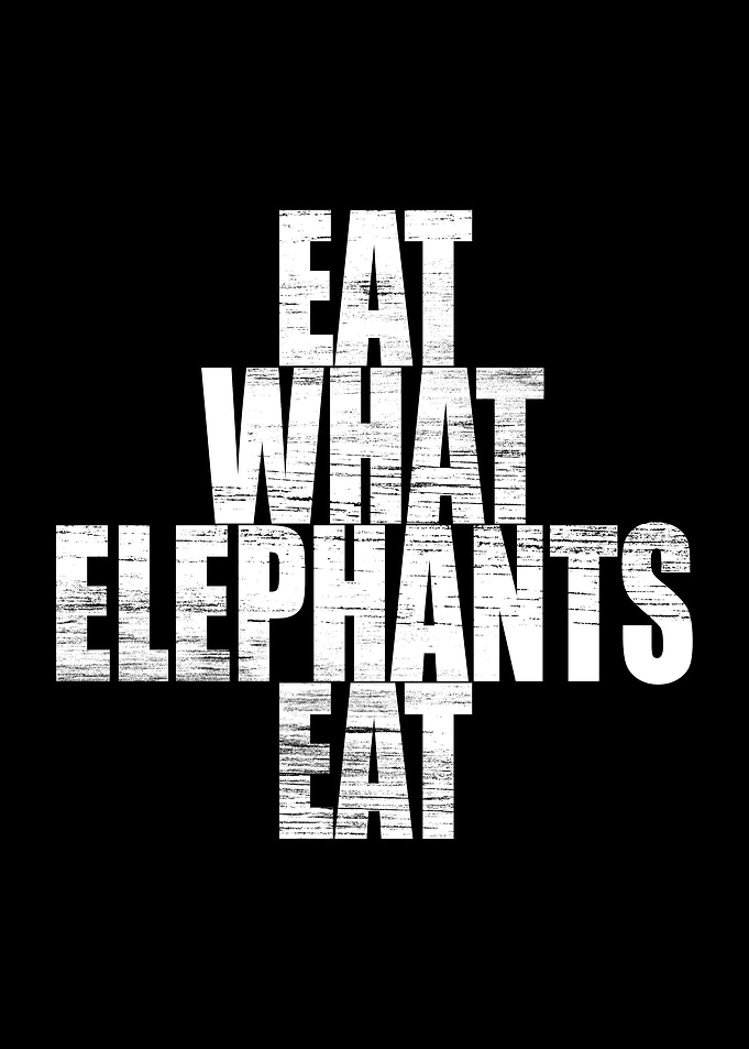 Eat What Elephants Eat