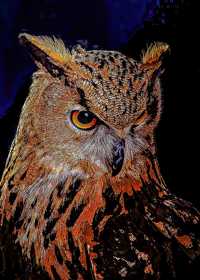 Animal 104