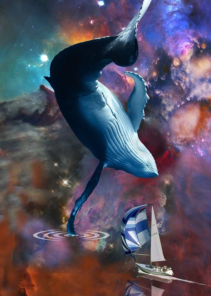 Whale Trippin