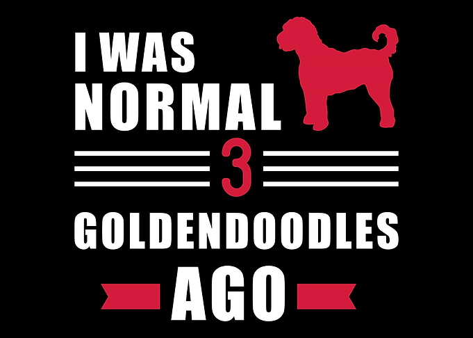 Goldendoodle