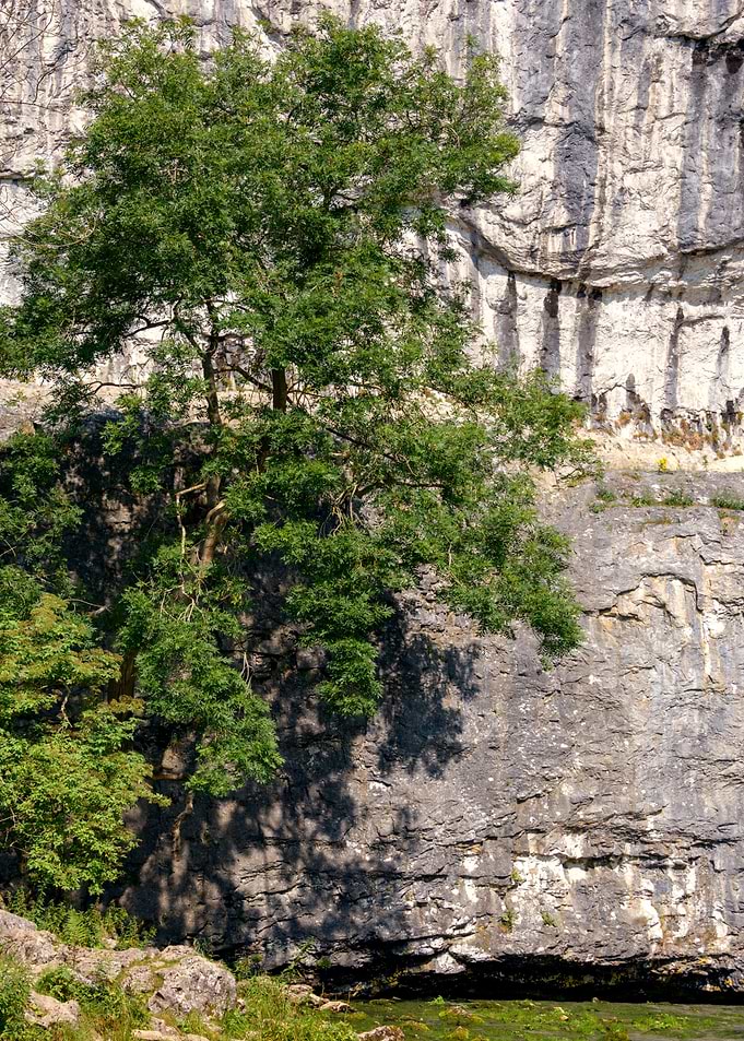 Malham Cove
