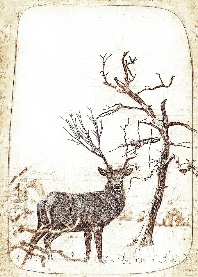Wild Deer Painting