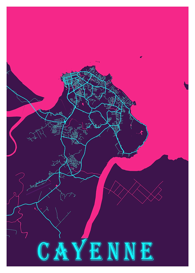 Cayenne Neon City Map