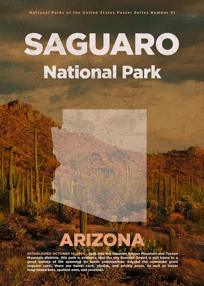 Saguaro National Park Art