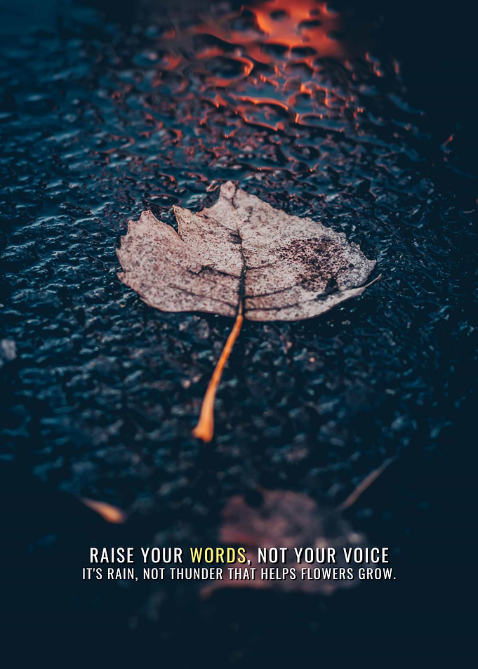Words or Voice