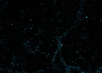 Cosmic