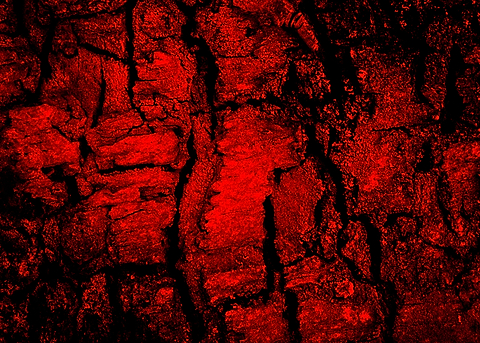Red Wooden Texture