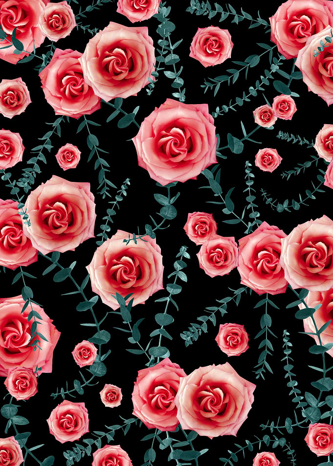 Night Rose Eucalyptus 2