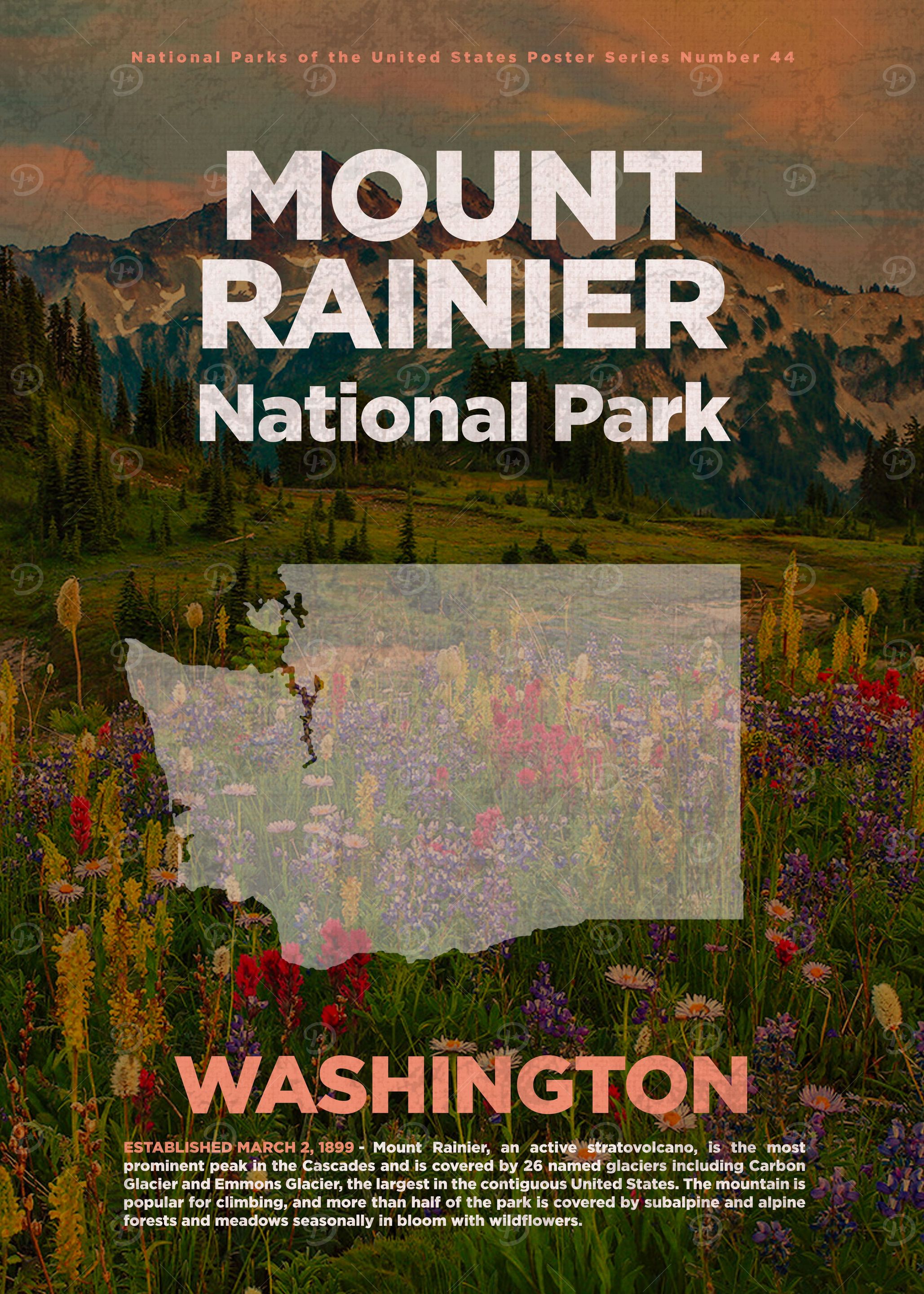 Mt Rainier National Park