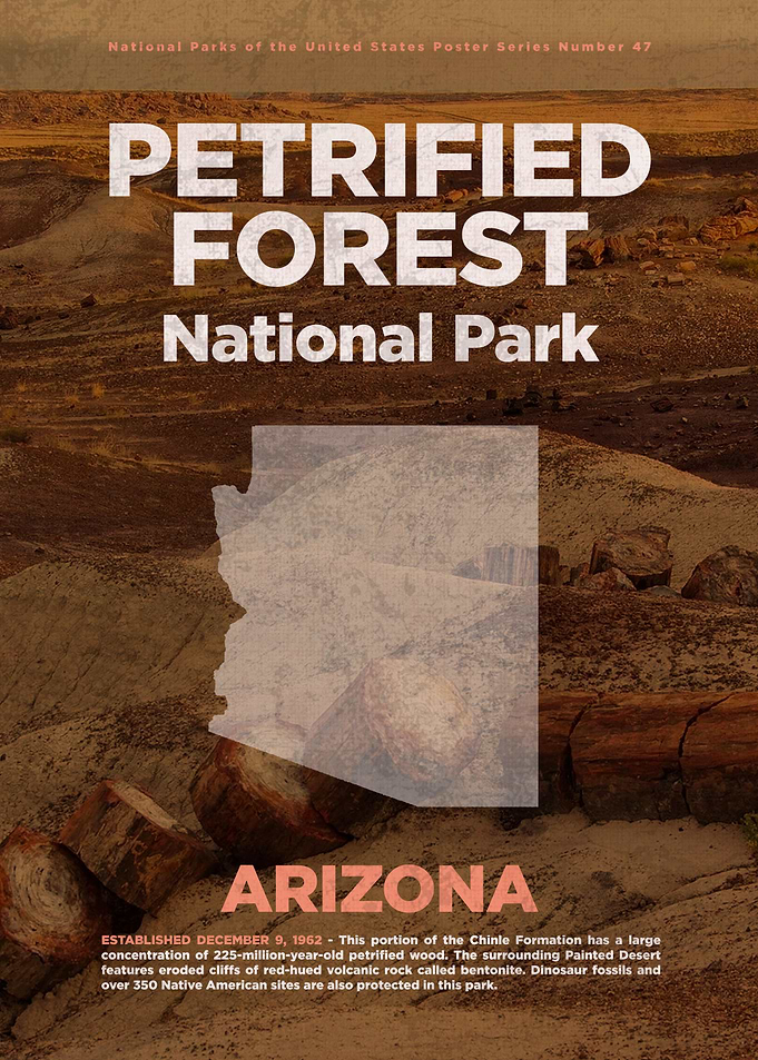 Petrified Forest Ntl Park