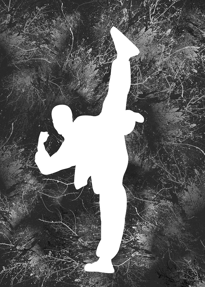 Karate silhouette