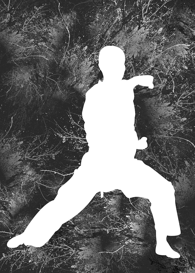 Karate silhouette 22