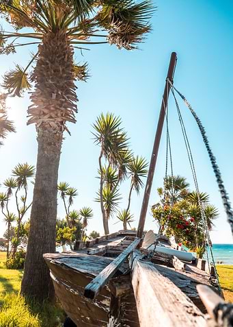 Abandoned boat