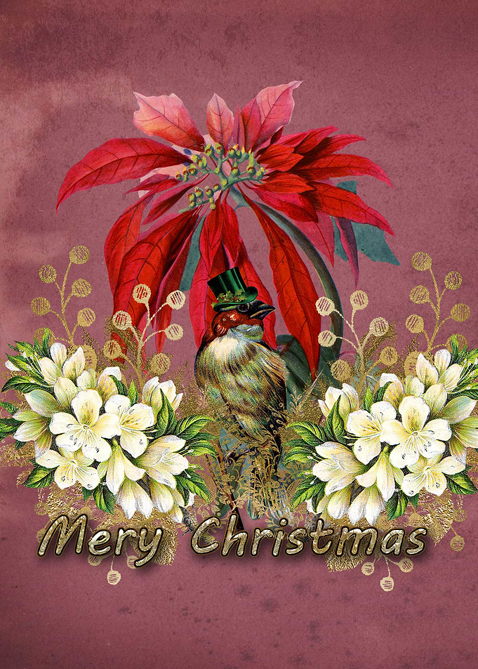 Cute christmas bird