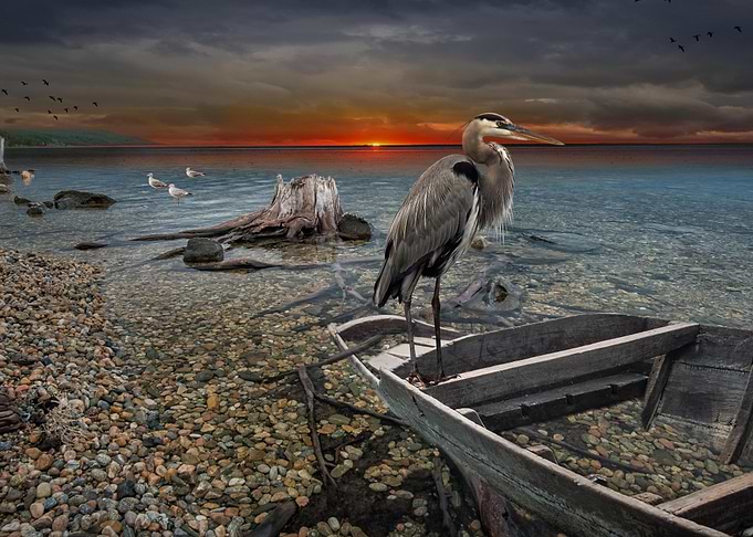 Boat Boats Ship Ocean Suns