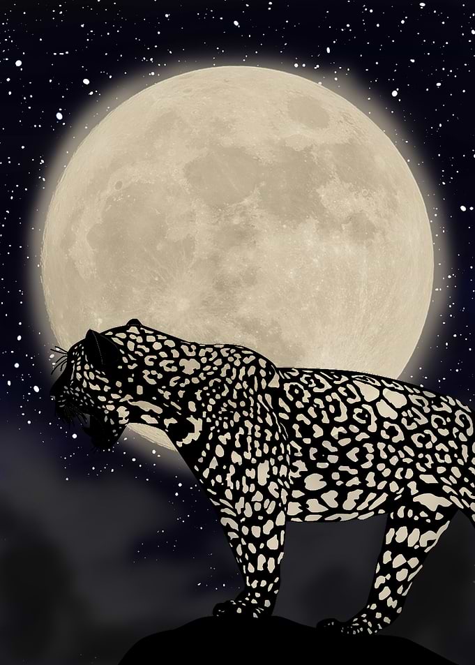 jaguar