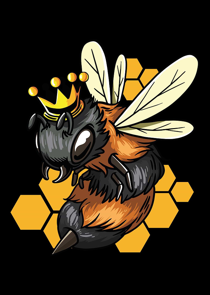 Bienen Illustration Imk