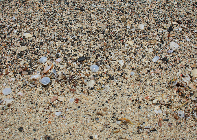 Kedrodasos beach creta
