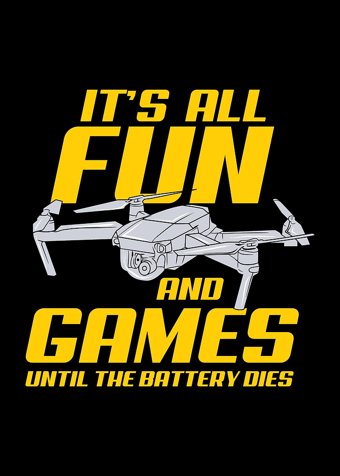 Drone Pilot Fun And Games