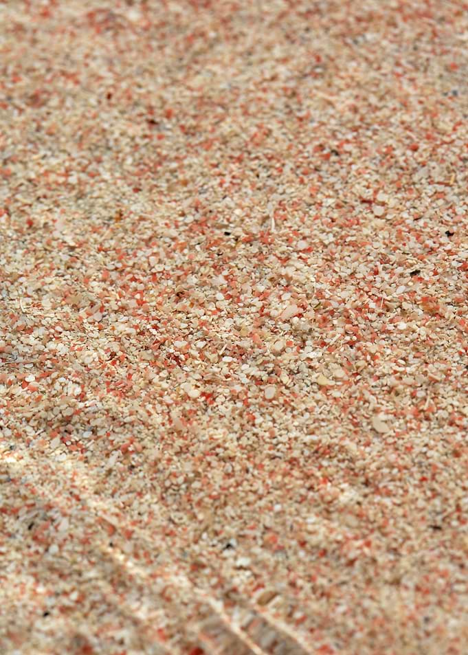 Kedrodasos beach creta