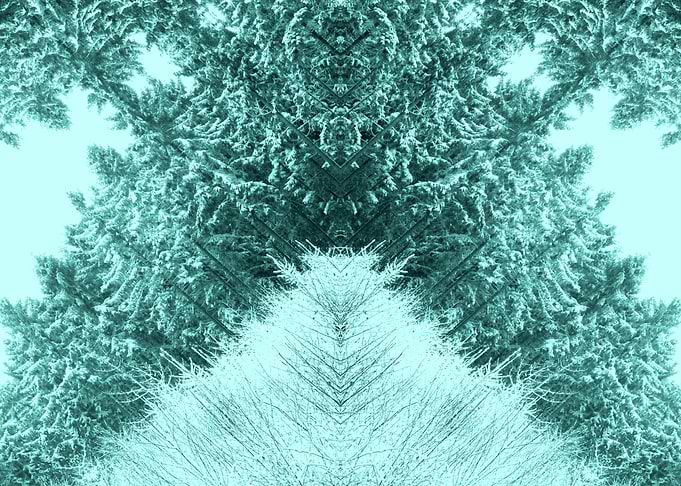 Frosty Wilderness