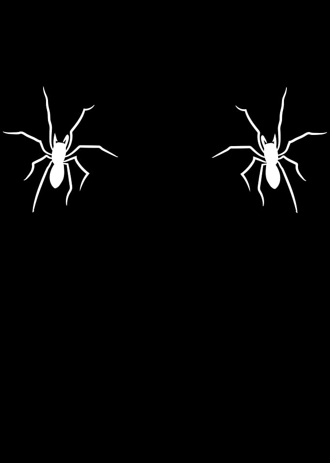 Halloween Spider Spiders