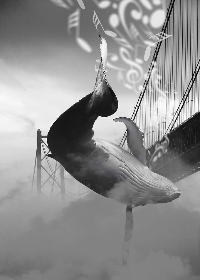 Whale Music at the Bridge