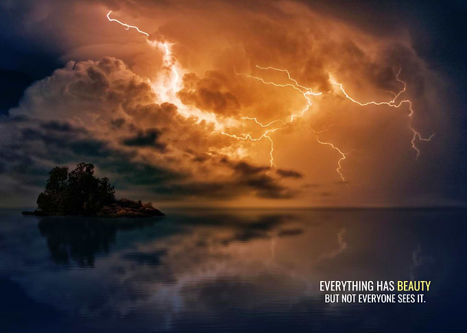 Everything has Beauty