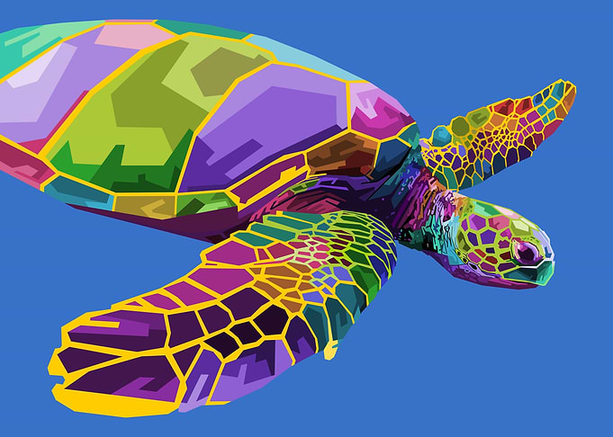 colorful turtle floating