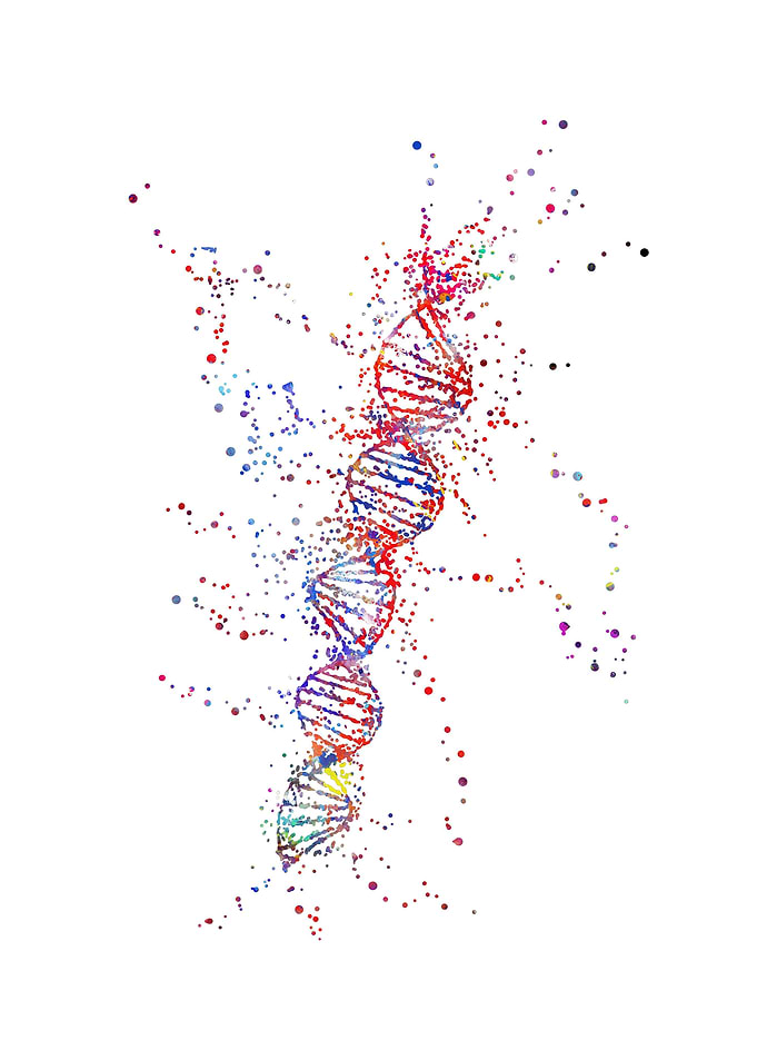 DNA molecule