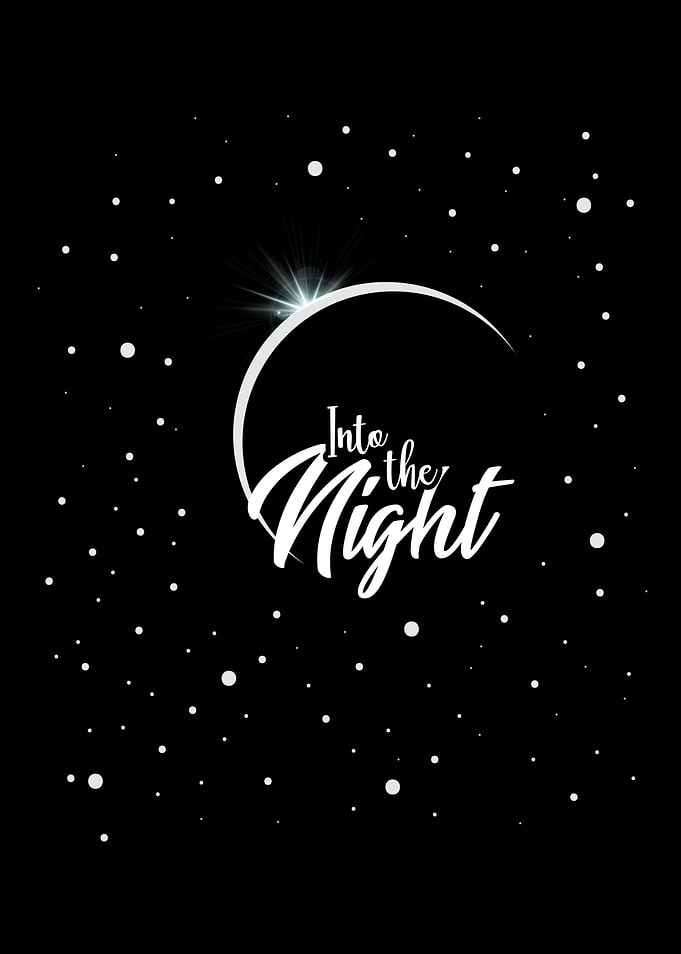 Into The Night