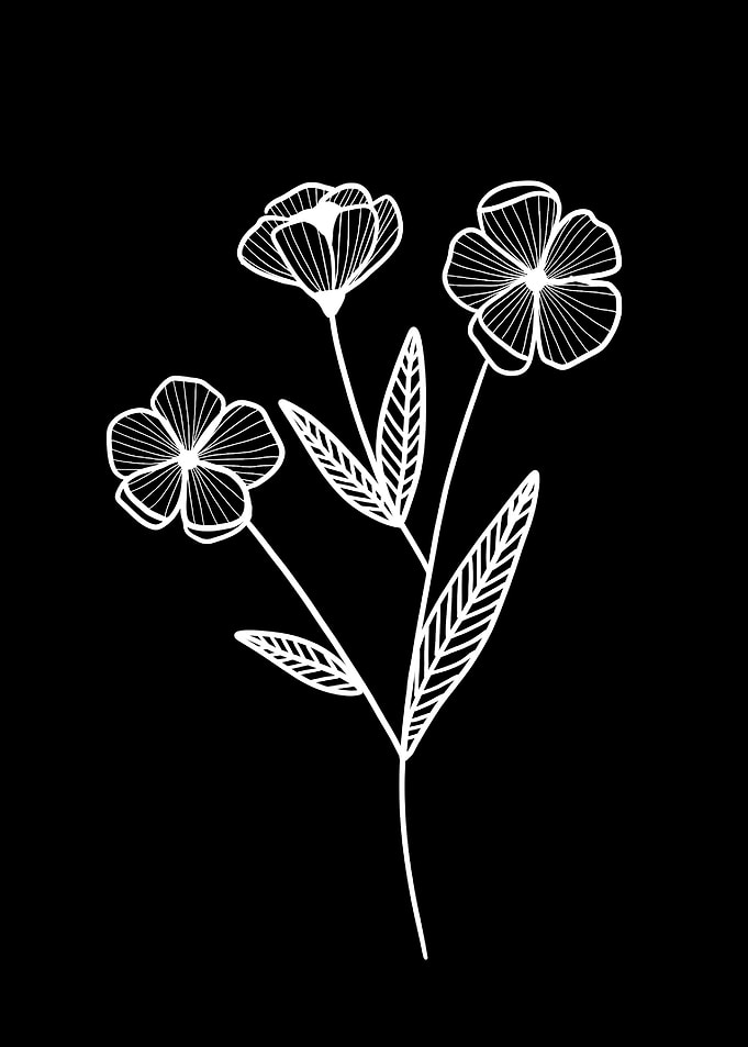 Flower black