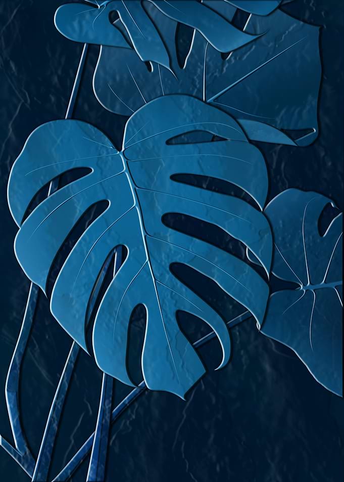 Monstera Leaves