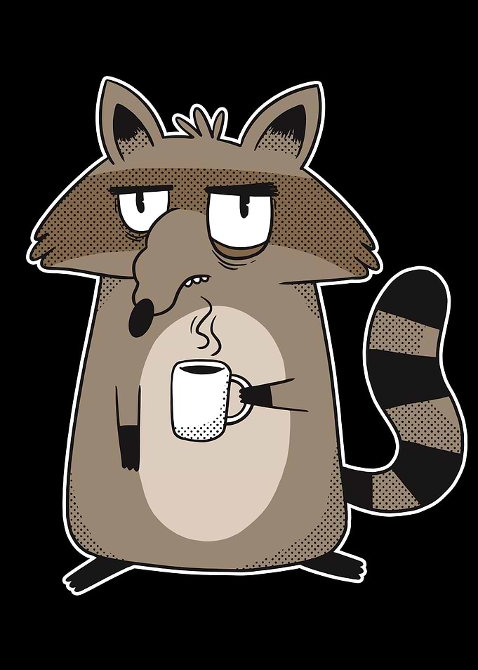 GRUMPY RACCOON