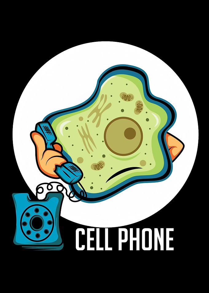 Cell Phone Doctor Or Medic