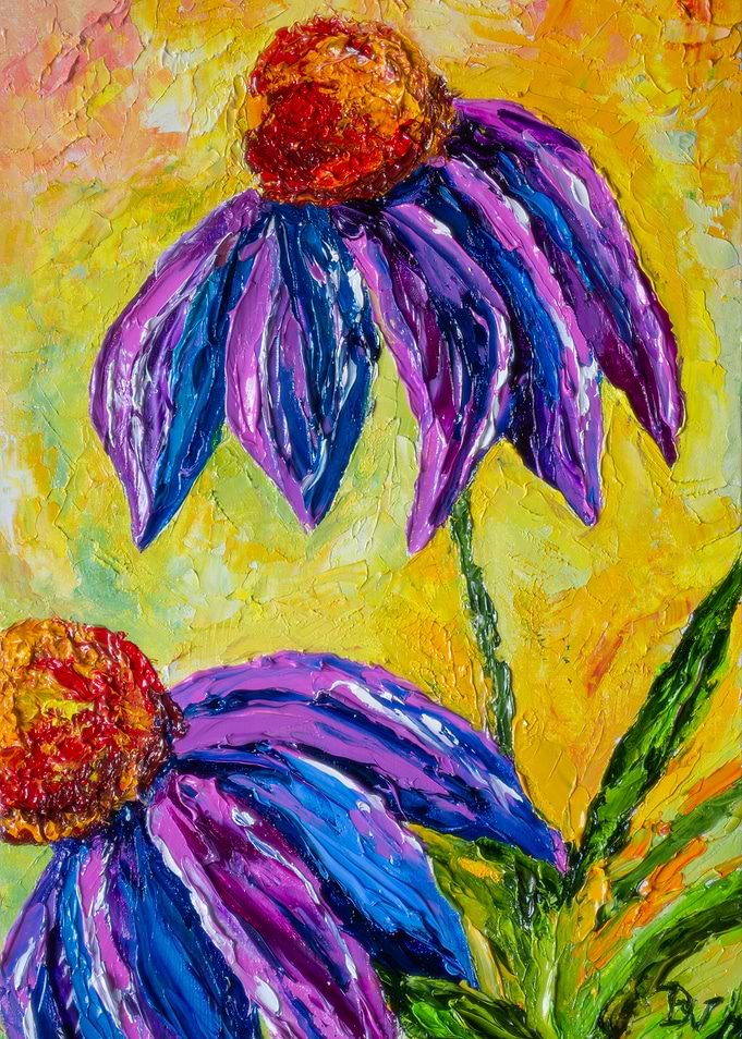 Echinacea flowers