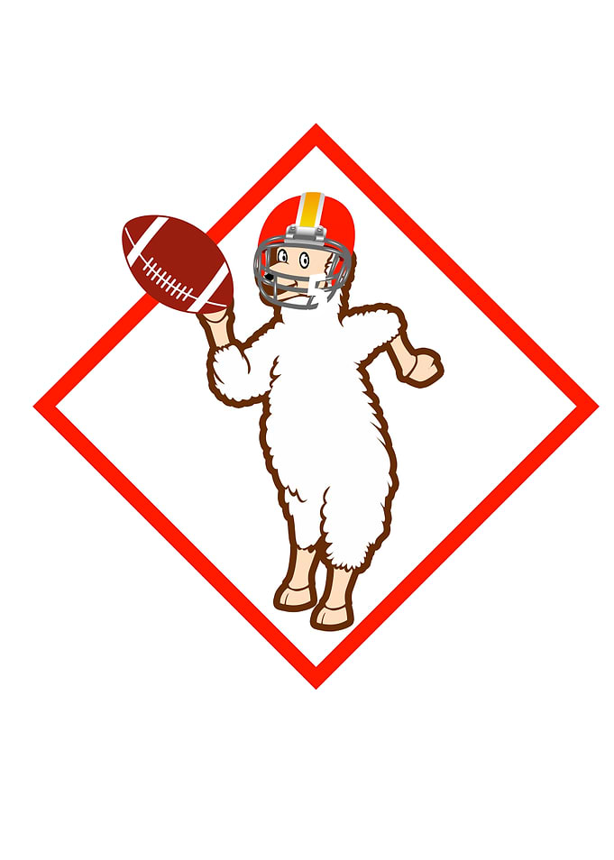 Football Llama