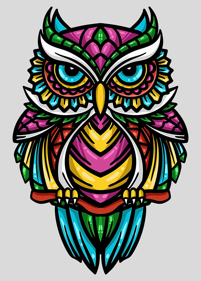 Colorful Owl Bird Animal