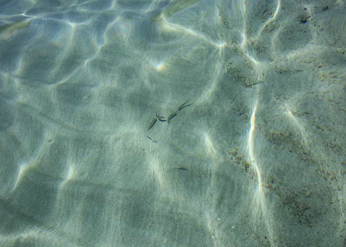 Kedrodasos beach crete